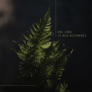 性欧美内谢一Vide0Se
