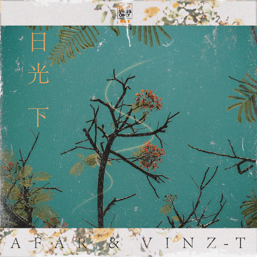 性欧美内谢一Vide0Se
